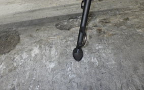 KAWASAKI NINJA 250 2025 EX250L