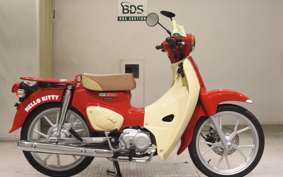 HONDA C110 SUPER CUB 2013 JA59