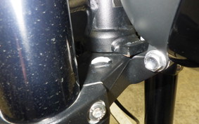 TRIUMPH TRIDENT 660 2021