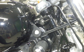 OTHER +HD. XL1200C-I 2011