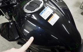 KAWASAKI Z250 Gen.2 2025 EX250Y