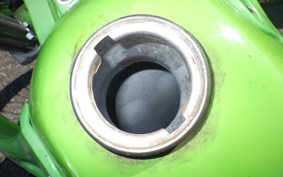 KAWASAKI KDX125 SR DX125A