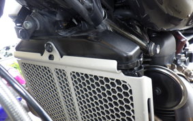 TRIUMPH SCRAMBLER 1200 XE 2024