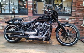 HARLEY FXBRS 2021 YHK