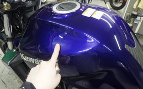 KAWASAKI ZRX1200 D 2009 ZRT20D