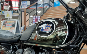 KAWASAKI W800 STREET 2022 EJ800E