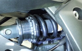 KAWASAKI Z1000 Gen.5 2018 ZXT00W