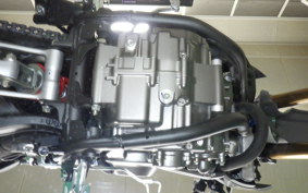 HONDA CRF250L 2025 MD47
