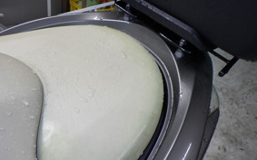 HONDA FORZA ZA 2001 MF10