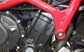 MV AGUSTA TURISMO VELOCE 800 2019