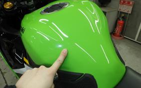 KAWASAKI ZX-4RR 2024 ZX400P