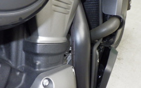 HARLEY RH975S 2024