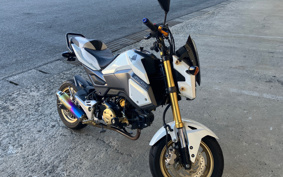 HONDA GROM