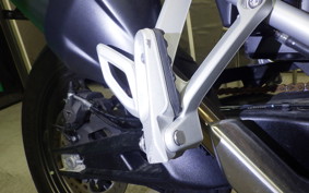 TRIUMPH TIGER 900 GT PRO 2024