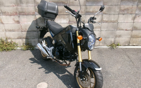 HONDA GROM JC61