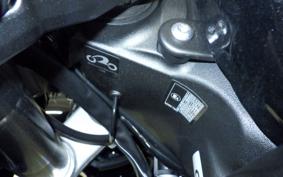 KAWASAKI NINJA 1000 SX 2022 ZXT02K