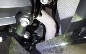 KAWASAKI ZZ1400 NINJA R A 2010