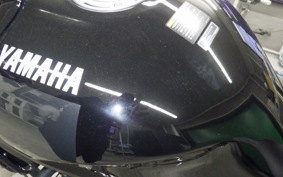 YAMAHA XSR900 2024 RN80J