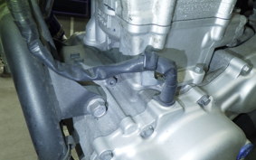 YAMAHA WR250X DG15J