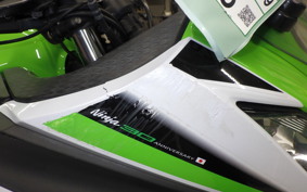 KAWASAKI NINJA 250 ABS 2009 EX250L