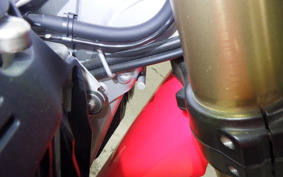 HONDA CRF250L 2021 MD47