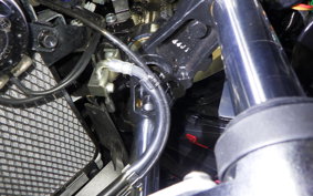 SUZUKI GSX250RA 1994