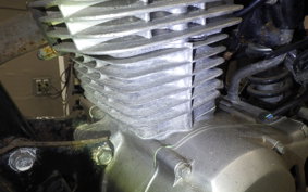 HONDA APE 100 2022 HC07