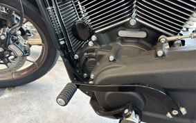 HARLEY FXLRS 2022 YWZ