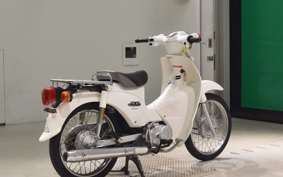 HONDA C110 SUPER CUB 2009 JA07