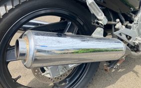 KAWASAKI ZZ-R250 EX250H