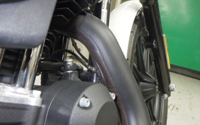 HARLEY XL1200NS 2018