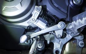 DUCATI MULTISTRADA950S 2020