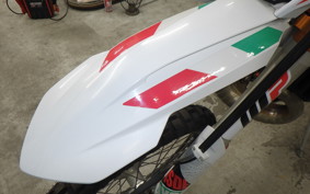 KTM 250 EXC TPI SIXDAYS