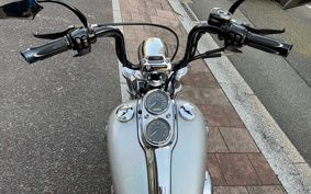 HARLEY HARLEY FXDL 105TH 2007 GN4