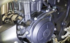 YAMAHA MT-25 2018 RG10J