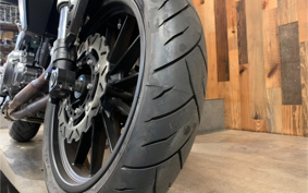 HARLEY  HARLEY X350 2024 W3C