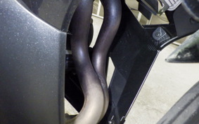 KAWASAKI NINJA 250 2024 EX250Y