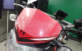 KAWASAKI KLX250 Gen.2 2025 LX250S