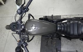 HARLEY XL883N 2020