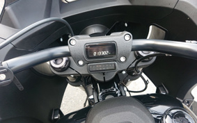 HARLEY FXLRST 2023 YXZ