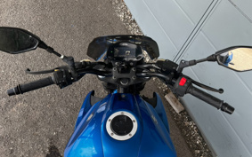 SUZUKI JIKUSA-250 ED24J