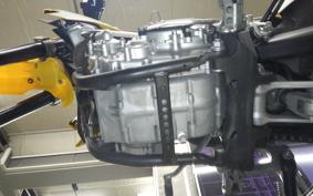 YAMAHA WR250X DG15J