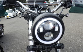 YAMAHA TT250R RAID 4GY