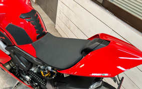 DUCATI PANIGA-REV4S 2019 DA00J