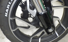 HARLEY FLSB 1750 2020