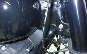 HARLEY FXLRS1920 2025