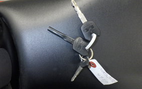 KAWASAKI NINJA 250 EX250L