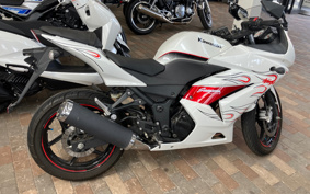 KAWASAKI NINJA 250R EX250K