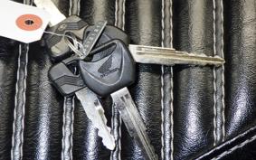 HONDA REBEL 250 S 2016 MC49