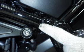KAWASAKI Z900RS 2021 ZR900C